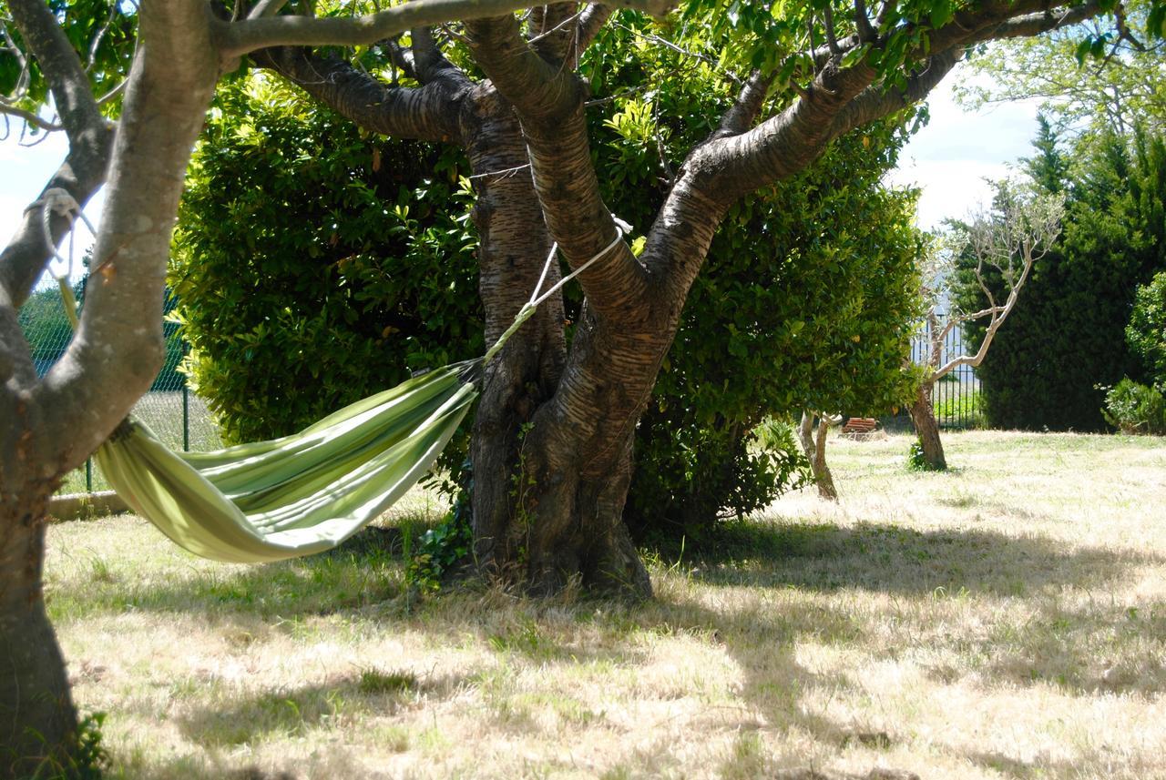Le Mas Marguerite Arles Esterno foto