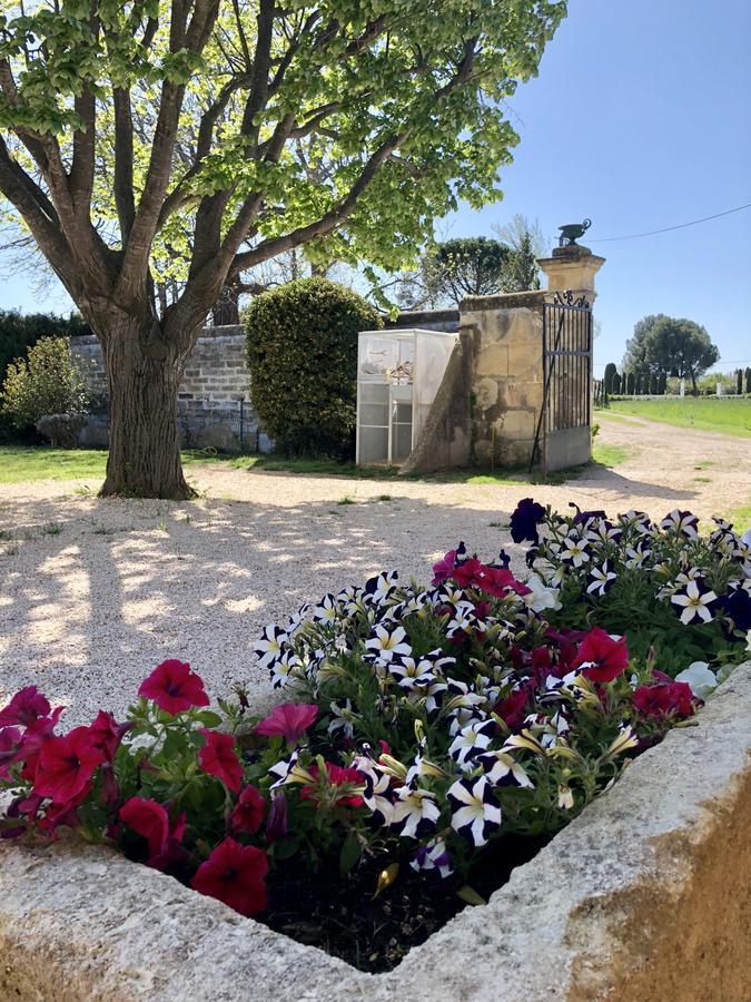 Le Mas Marguerite Arles Esterno foto